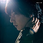 「flumpool、ドラマ主題歌「素晴らしき嘘」リリース＆全国ツアー開催決定」1枚目/2