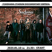 「Suchmos、横浜スタジアム公演のドキュメンタリー＆ライブ映像を配信」1枚目/1
