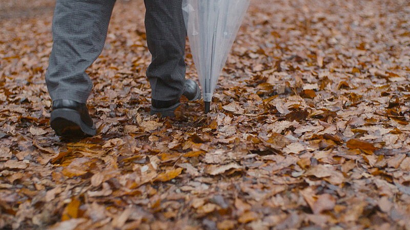 SHE'S、新AL『Tragicomedy』リリース決定＆タイトル曲ティザー映像公開