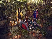 「THE YELLOW MONKEY、ツアー大阪公演の席を追加販売＆タワレコでコラボドリンク販売も」1枚目/2