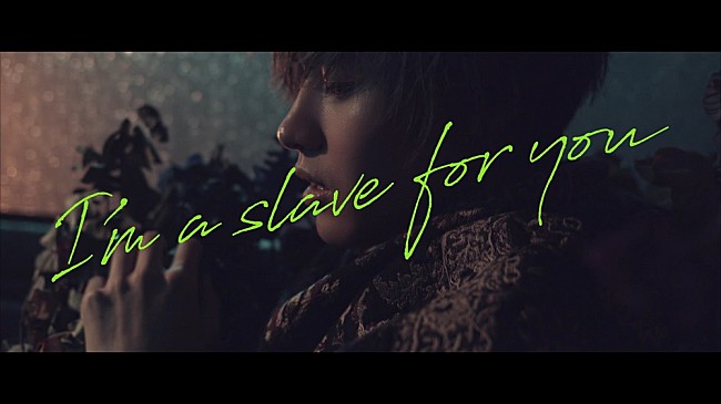 「川口レイジ ドラマ主題歌「I’m a slave for you」のMV公開」1枚目/1
