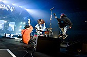 「(セトリ有)WANIMAがアリーナ編ツアー開幕、未発表の新曲初披露＆ストリングス・ピアノ従え初パフォーマンスも」1枚目/4