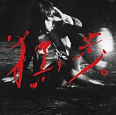 「写真集付受注生産限定盤」4枚目/4