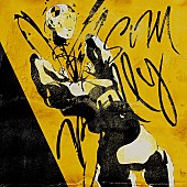 「SiM、5thフルアルバムから新曲「BULLY」先行配信＆MV公開」1枚目/2