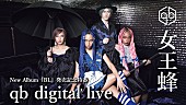「女王蜂、新アルバム『BL』発売記念でYouTube Live配信＆MVプレミア公開へ」1枚目/5