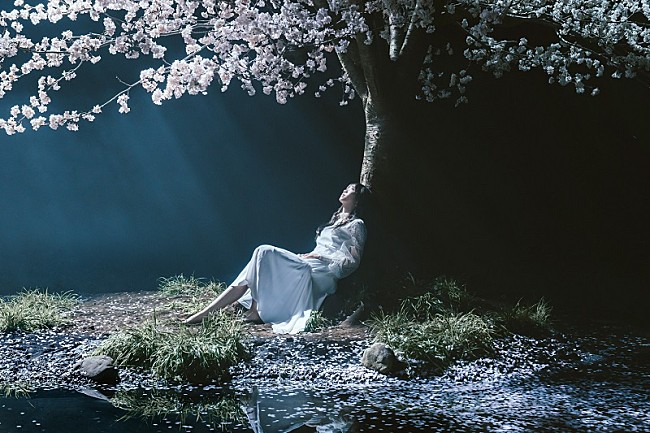 「Aimer、新たな全国ツアー【Aimer Acoustic Tour 2020】の開催を発表　新曲「marie」の先行配信もスタート」1枚目/4