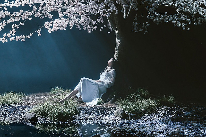 Aimer、新たな全国ツアー【Aimer Acoustic Tour 2020】の開催を発表　新曲「marie」の先行配信もスタート