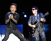 「『2月27日はなんの日？』ジャーニーのギタリスト、ニール・ショーンの誕生日」1枚目/1