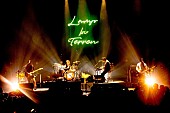 「LAMP IN TERREN、ワンマンライブ【Bloom】のライブ映像を全曲YouTubeで公開」1枚目/4