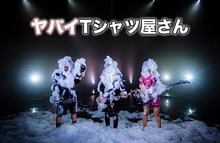 「ヤバイTシャツ屋さん、Zepp Tokyoでのライブ映像「かわE」公開」