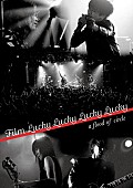 「a flood of circle、ライブDVD『Film Lucky Lucky Lucky Lucky』ツアー会場限定販売決定」1枚目/3