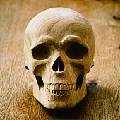 「LOSTAGE、最新作『HARVEST』Bandcampにて配信開始」1枚目/2