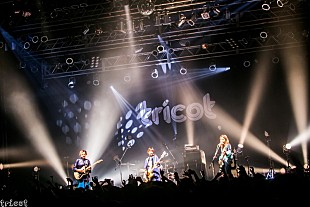 「tricot、2019年ツアー映像を期間限定公開」