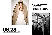「AAAMYYY×Black Boboi、6月に2マンライブ開催」1枚目/3
