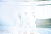 「sora tob sakanaが解散発表、ライブツアー＆ラストライブが決定」1枚目/2