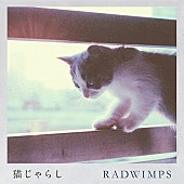 「RADWIMPS「猫じゃらし（Orchestra ver.）」MV公開、多彩なクリエイターが参加」1枚目/2