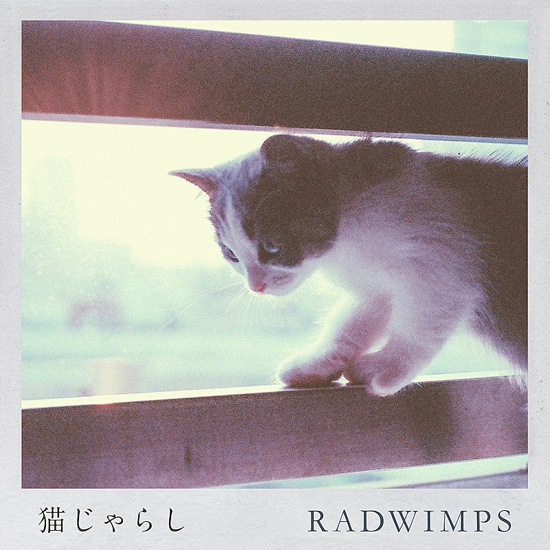 ＲＡＤＷＩＭＰＳ「RADWIMPS「猫じゃらし（Orchestra ver.）」MV公開、多彩なクリエイターが参加」1枚目/2