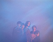 「For Tracy Hyde、アジア・ツアーを追うドキュメンタリー公開」1枚目/2