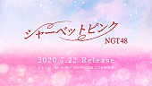 「NGT48、約1年9か月ぶりのシングル『シャーベットピンク』発売決定」1枚目/1