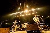 「UNISON SQUARE GARDEN、貴重なライブ映像「over driver～ピストルギャラクシー」公開」1枚目/3