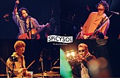 「SPiCYSOL、“波の日”に無観客有料生配信ライブ開催決定」1枚目/1
