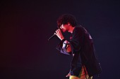 「【米津玄師 2019 TOUR / 脊椎がオパールになる頃】ライブ写真」7枚目/9