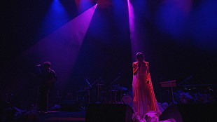 「Coccoの「極悪マーチ」ライブ映像公開、Blu-ray＆DVD『Star Shank』初回限定盤仕様も」