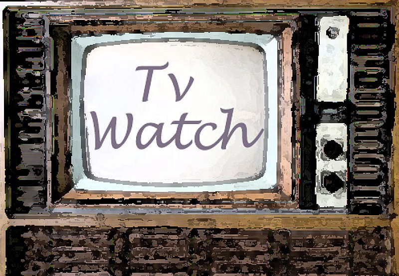 「「やまとなでしこ」びしょぬれキスやカメレオンの名場面　「２０年たってもドキドキ」」1枚目/1