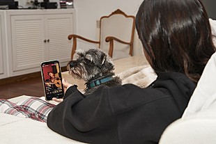 「デジタル機器での音楽消費がアナログを超える、米調査発表」