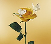 「初回限定盤ジャケット」2枚目/5