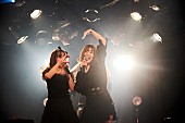 「photo by 宇佐美亮」3枚目/26