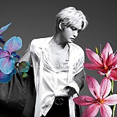 「【ビルボード】ジェジュン『Love Covers II』が48,082枚でALセールス首位　ヨルシカ『盗作』は2位に」1枚目/1
