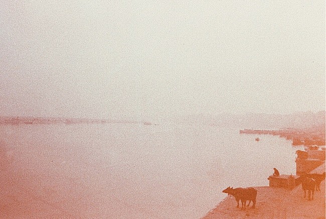 「TSUTAYA」8枚目/8