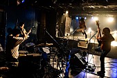 「＜ライブレポート＞パノラマパナマタウン、再出発の気概を見せた配信ワンマン」1枚目/24