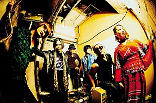 「ソウル・フラワー・ユニオン初の配信ライブ開催決定、当日は限定90名の入場も実施」