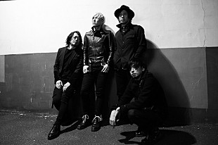 「杉本恭一、ライブアルバム『PEACE』再現ライブ開催決定」