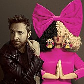 「デヴィッド・ゲッタ、シーアとの2年ぶりコラボ曲「レッツ・ラブ」をリリース」1枚目/2