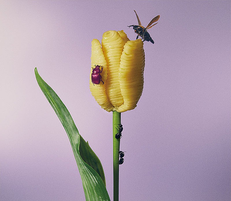 【先ヨミ・デジタル】あいみょん『おいしいパスタがあると聞いて』DLアルバム現在首位　宮本浩次が上昇