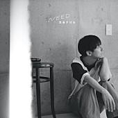 「ＣＤ」2枚目/3