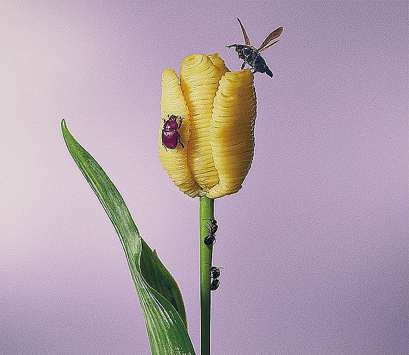 【深ヨミ】あいみょん『おいしいパスタがあると聞いて』前作から初週売上倍増も変わらないものとは