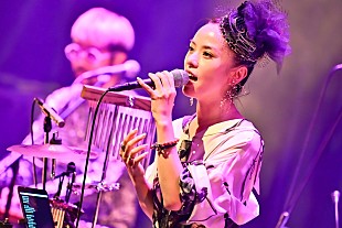 「＜ライブレポート＞結成20年目の再始動で紡ぐブレない意思と繊細な心模様　ソロ活動を経たWyolicaが発する、デビュー作に込められた癒しと勇気のヴァイブレイションに浸る秋の夕べ」