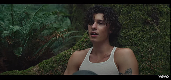 「ショーン・メンデス、ニューALからの先行トラック「Wonder」のMV公開」1枚目/3