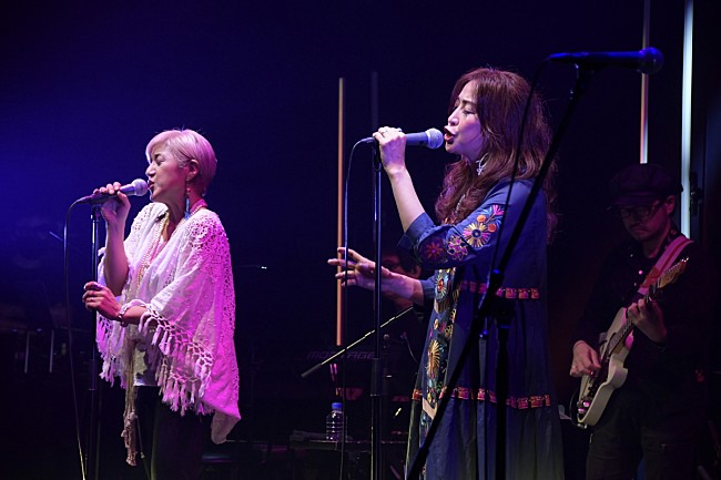 「＜ライブレポート＞20年ぶりにオリジナルメンバーが“リユニオン”を果たしたCOSA NOSTRA、ゲストを迎えて贈られたシックなポップミュージックに酔いしれる夜」1枚目/4