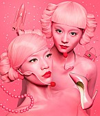 「マネキン・ラップ・デュオ“FEMM”、謎のクリーナー2秒動画を投稿」1枚目/1