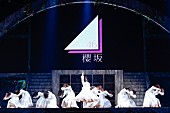 「櫻坂46」3枚目/17