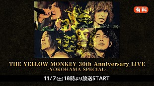 「THE YELLOW MONKEY、4ヶ月連続ニコ生配信決定」
