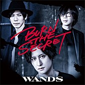 「WANDS、新AL『BURN THE SECRET』全曲ダイジェスト映像公開」1枚目/3