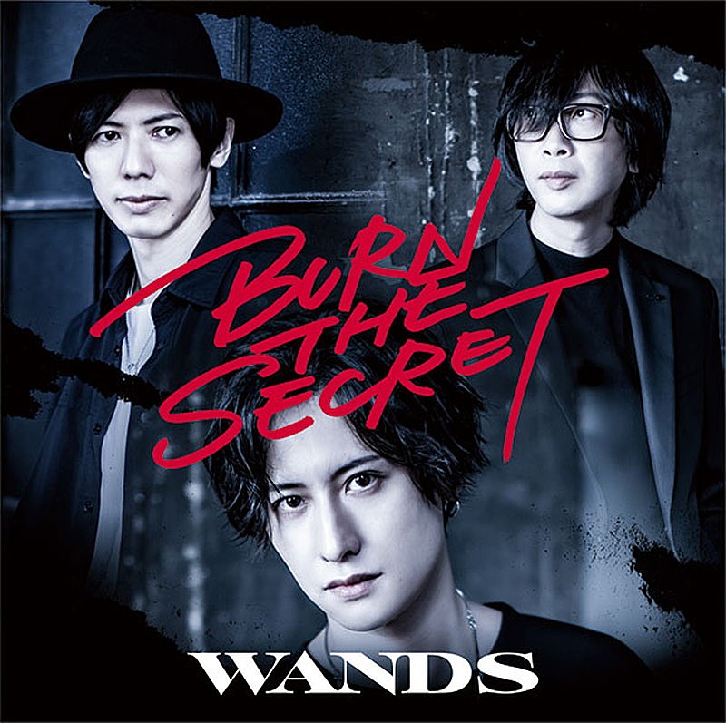 WANDS「WANDS、新AL『BURN THE SECRET』全曲ダイジェスト映像公開」1枚目/3