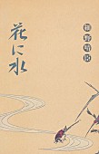 「細野晴臣、入手困難だった名曲「花に水」が配信リリース」1枚目/2