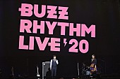 「【バズリズム LIVE 2020】山崎まさよし、スキマスイッチ、Novelbright、さかいゆう、FAITHが登場」1枚目/16